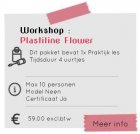 Workshop:Plastiline Flower